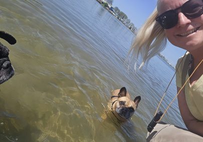 schwimmen mit hunden im ijsselmeer