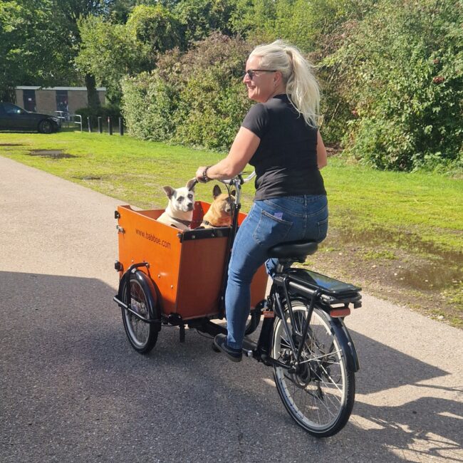 fahrrad mieten hund holland