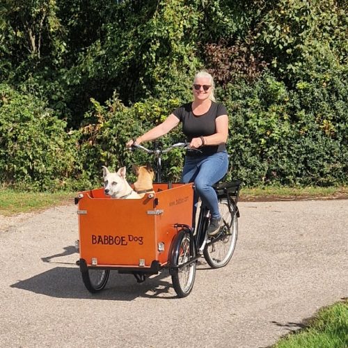 Lasten-E-Bike für Hunde